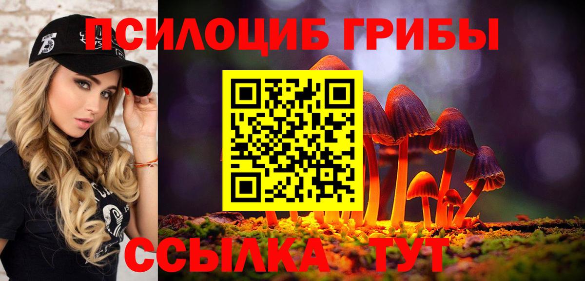 Кострома  Псилоцибиновые грибы Psilocybe  Вход с VPN 